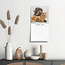 Cats and Dogs Kalender 2025