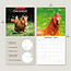 Chickens Calendar 2025