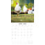 Chickens Calendar 2025