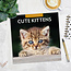 Cute Kittens Calendar 2025