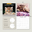 Cute Kittens Calendar 2025