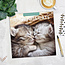 Adorable Cats Calendar 2025