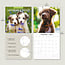 Adorable Dogs Kalender 2025