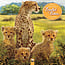 Flame Tree Beautiful Babies Calendar 2025