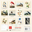 Audubon Birds Kalender 2025