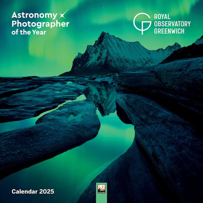 Flame Tree Calendario fotografico dell'astronomia 2025