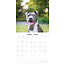 Calendario American Pit Bull Terrier 2025