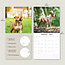 American Staffordshire Terrier Kalender 2025