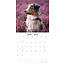 Australian Shepherd Kalender 2025