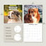 Australian Shepherd Kalender 2025