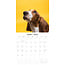 Basset Hound Kalender 2025