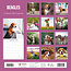 Beagle-Kalender 2025