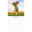 Beagle-Kalender 2025