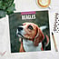 Beagle-Kalender 2025