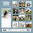 Bearded Collie Calendar 2025