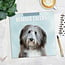 Bearded Collie Kalender 2025