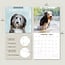 Bearded Collie Calendar 2025