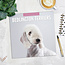 Bedlington Terrier Kalender 2025