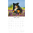 Calendario del cane da montagna bernese 2025