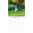 Border Collie Cachorros Calendario 2025