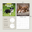 Border Collie Cachorros Calendario 2025