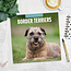 Calendario Border Terrier 2025