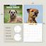 Calendario Border Terrier 2025