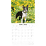 Boston Terrier Calendar 2025