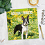 Boston Terrier Kalender 2025