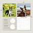 Boston Terrier Kalender 2025