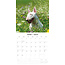 Bull Terrier Kalender 2025