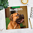 Bullmastiff Kalender 2025