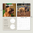 Bullmastiff Kalender 2025