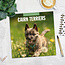 Cairn Terrier Kalender 2025