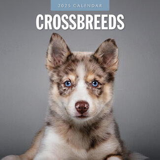 Red Robin Crossbreeds Calendar 2025