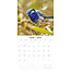 Cute Birds Calendar 2025