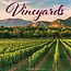 Vineyard Calendar 2025