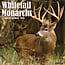 Whitetail Monarchs Calendar 2025