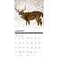 Whitetail Monarchs Kalender 2025