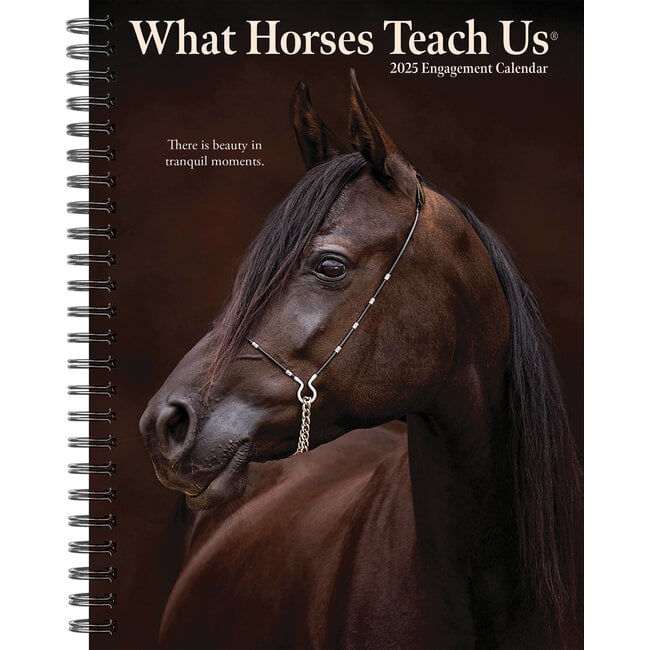 What Horses Teach Us Agenda 2025