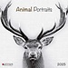 Tushita Animal Portraits Kalender 2025