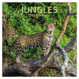 The Gifted Stationary Jungles Calendar 2025