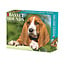 Basset Hound Abreißkalender 2025 Boxed