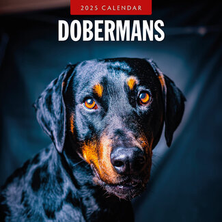 Red Robin Dobermann Calendar 2025