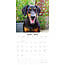 Dobermann Kalender 2025