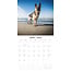 German Shepherd Calendar 2025