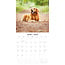 Calendario del Golden Retriever 2025