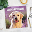 Calendario del Golden Retriever 2025