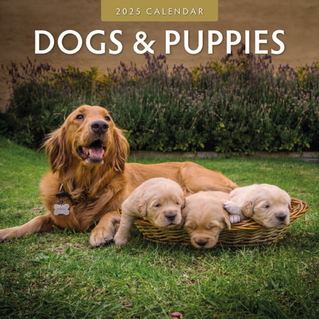 Dogs and Puppies Calendar 2025