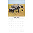 Calendario Elefante 2025